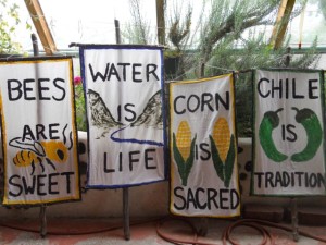 Using local slogans to stand up for what we love in contrast to what we oppose (Monsanto) worked wonders! March Against Monsanto, Taos, NM Spring 2014