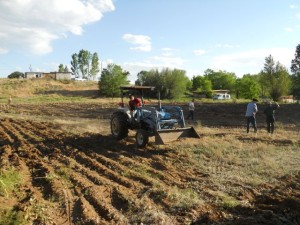 From porch gardens to one-acre fields, Love-In-Action Taos members love to grow food! We understand that local agriculture sits in the nexus of climate, water, poverty, and community resilience issues. 